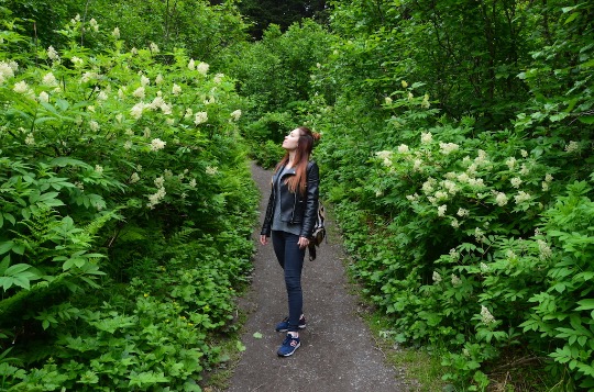 Фото 22.06.2017, 12 53 13.jpg