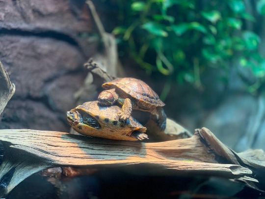 image-28-02-20-01-02-4