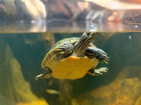 image-28-02-20-01-02-3