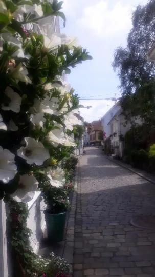 20190623_145532.jpg